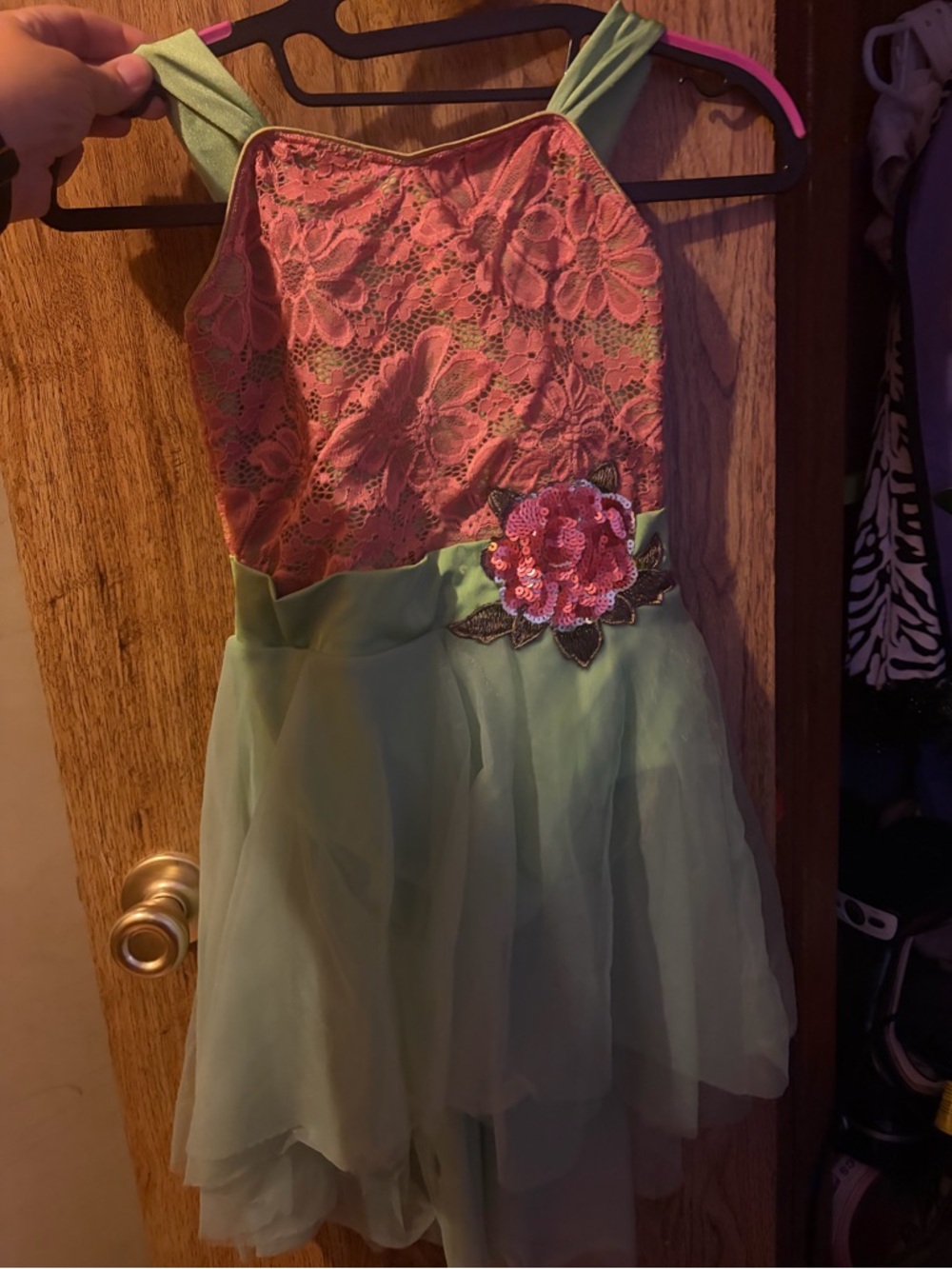Revolution Pink Lace & Green Tulle Dance Costume